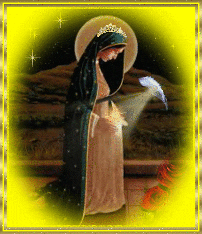esp santo gravida1.gif